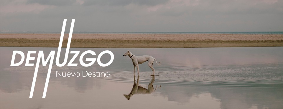 Fondo de Jose Demuzgo